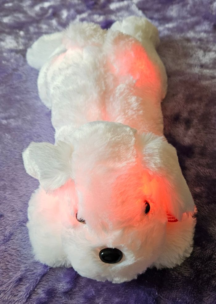 Peluche lumineuse - photo numéro 5