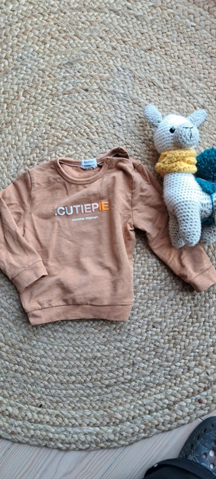 Petit pull taille 74-80