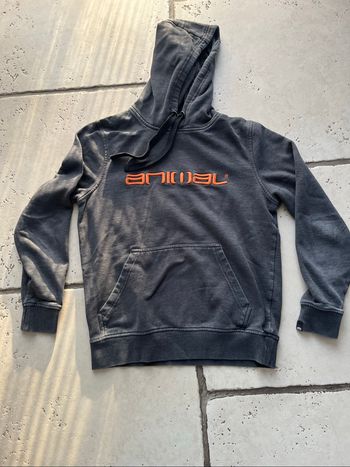 Sweat Animal