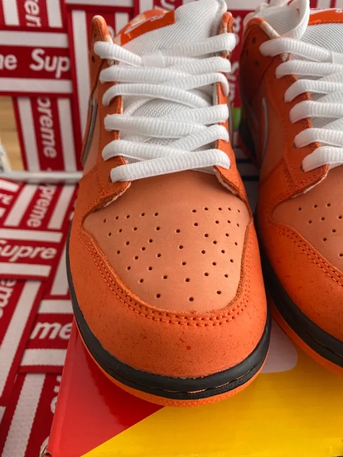 Nike SB Dunk low x Concepts Orange lobster - photo numéro 11