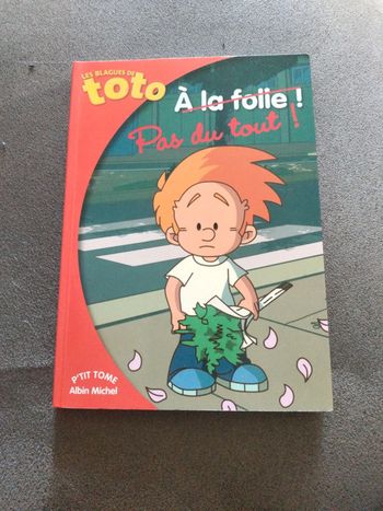 Livre les blagues de toto