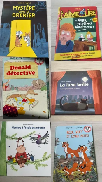 Lot de 6 livres pour enfants