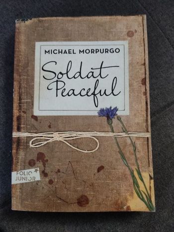 Livre "soldat peaceful"