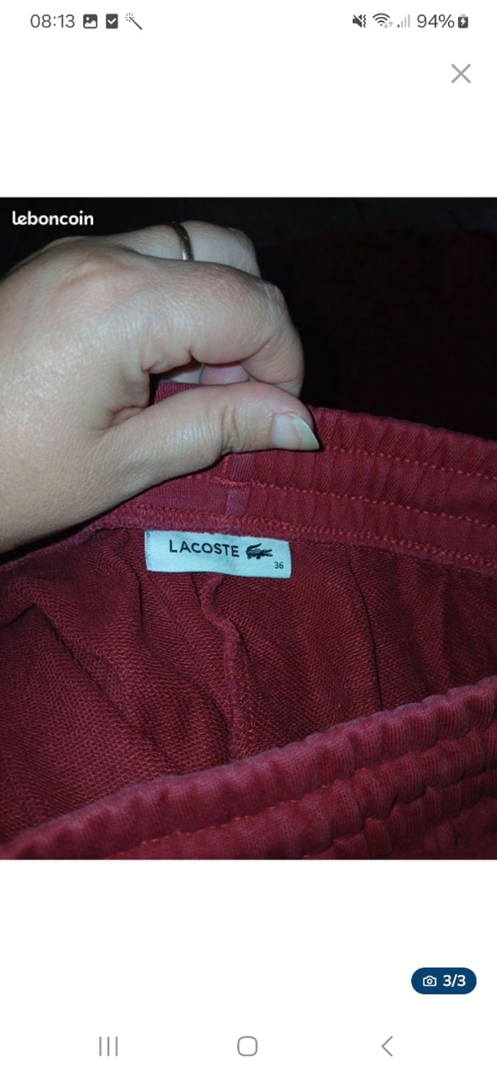 Jogging lacoste - photo numéro 3