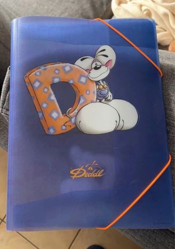 Pochette plastique Diddl