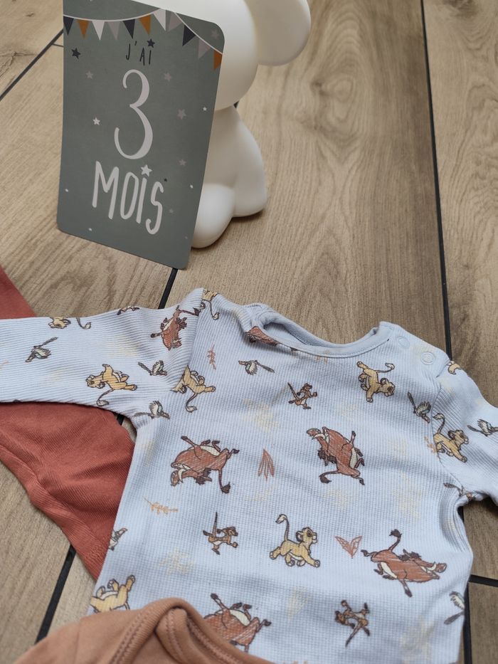 Bodys le roi lion - photo numéro 4