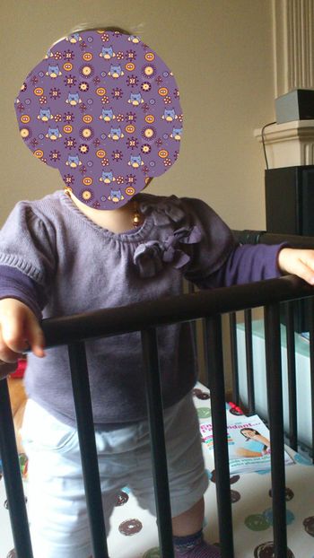 pull manches courtes parme