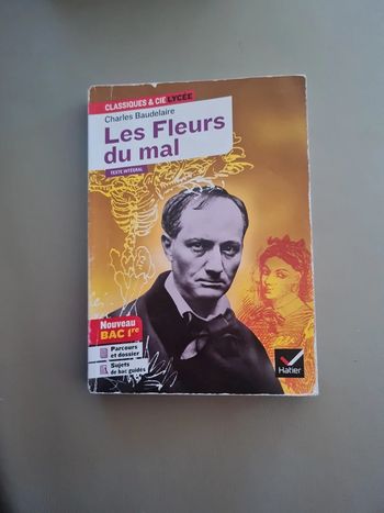 Les fleurs du mal