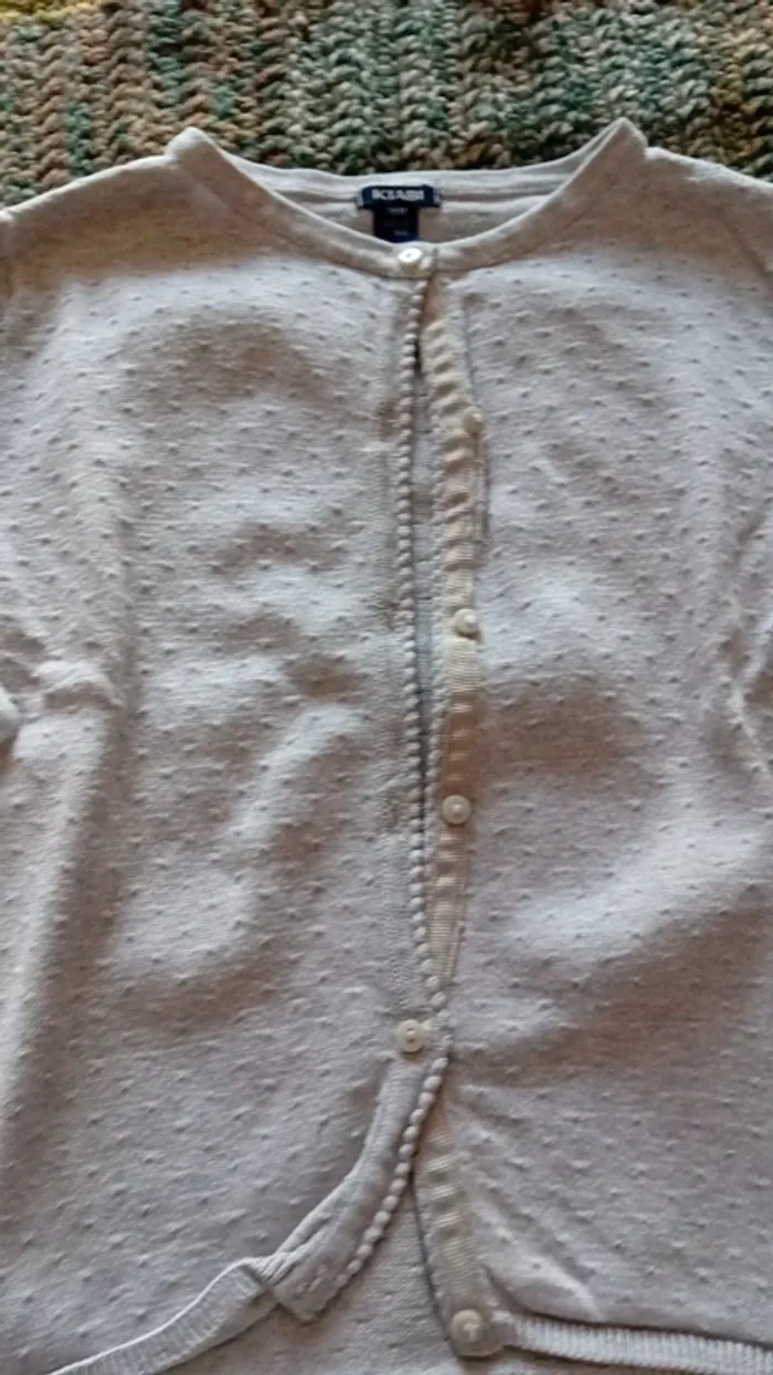 Gilet gris - photo numéro 2