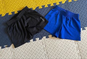 Lot 2 shorts
