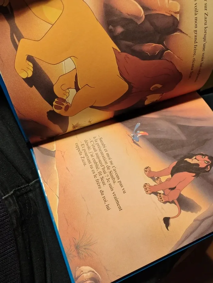Les classiques Disney le roi lion 🦁 - photo numéro 3