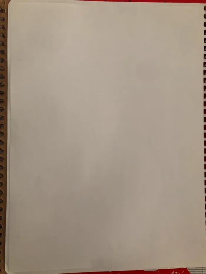 Cahier Angry Birds - photo numéro 5