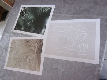 photos