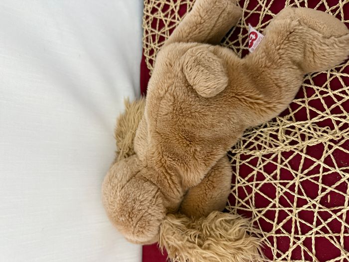 vintage Ty Beanie Buddy « Spunky », le cocker américain - photo numéro 5