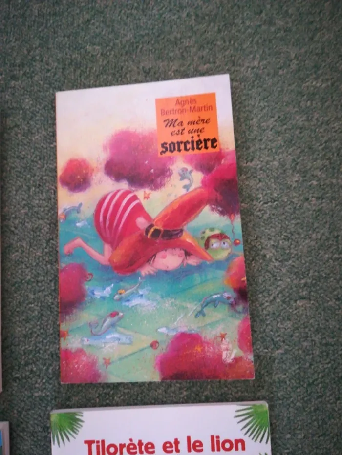 Lot de 5 romans édition Lire c'est partir, Actes Sud junior, Ratus poche,Bamboo - photo numéro 5