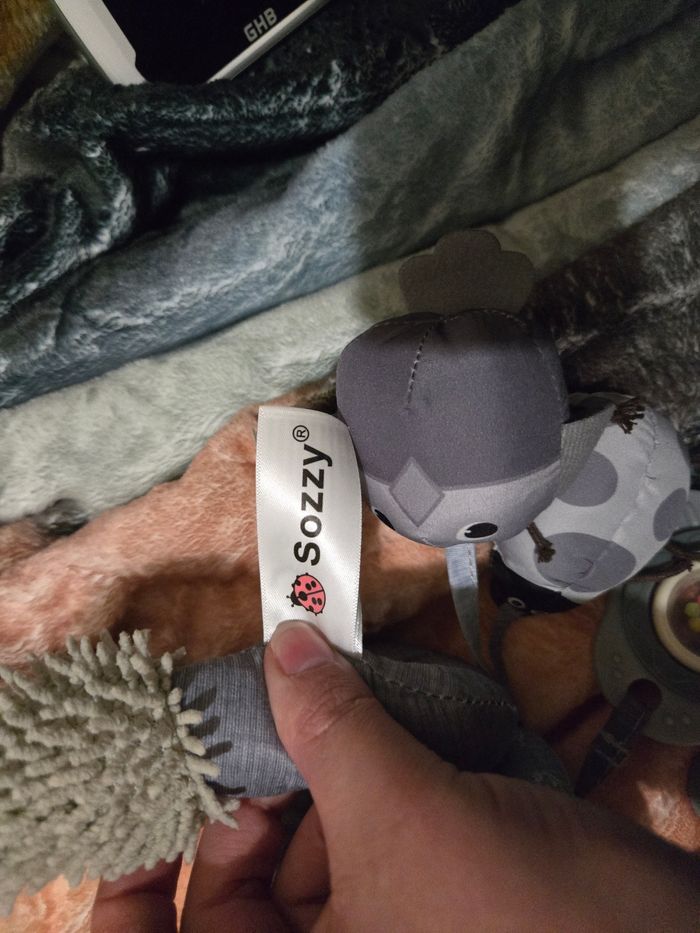 Spirale renard - photo numéro 3