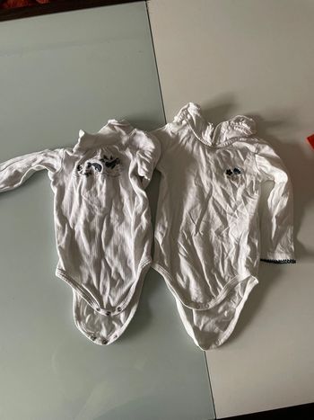 2 bodies