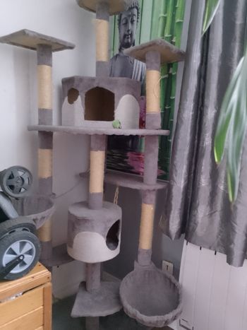 Grand arbre à chat 2M de haut