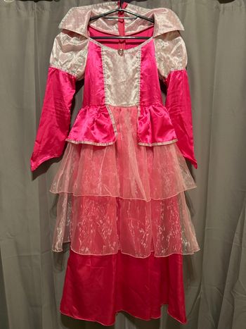 Robe Costume princesse 