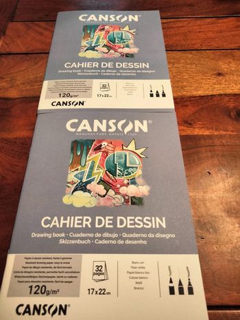 Lot de 2 cahiers de dessins neufs de 32 pages chacun Canson