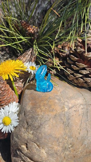 Super petite figurine Pokemon Nintendo transparente Dialga