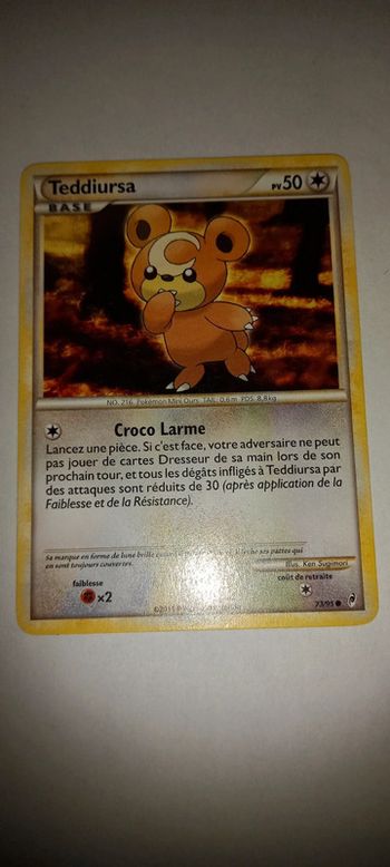 Carte pokémon teddiursa