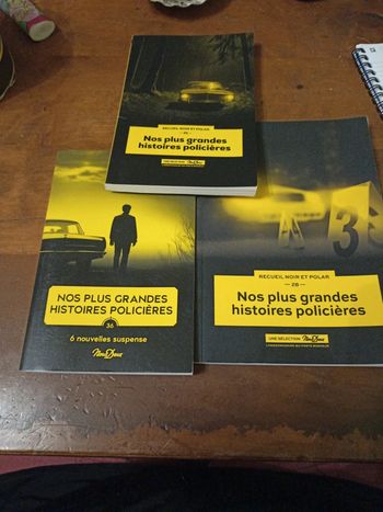 Nos plus grandes histoires policières