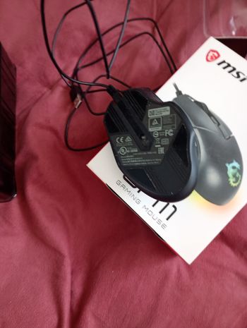 Souris