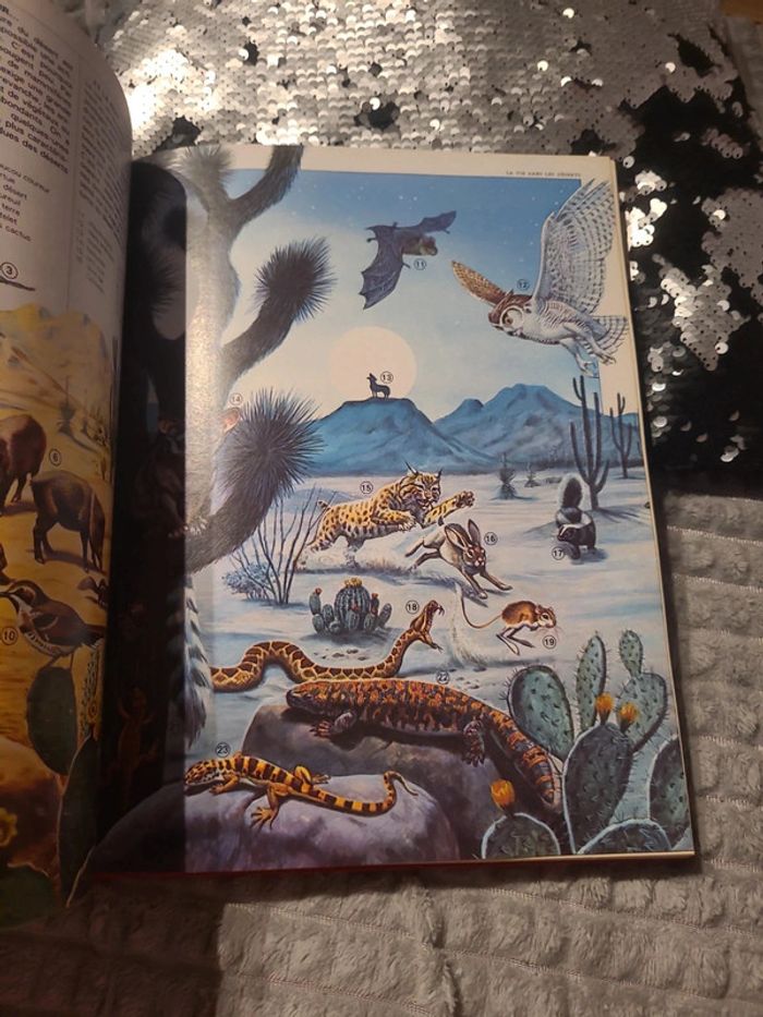 Tout l'univers encyclopédie de l'âge scolaire - photo numéro 5