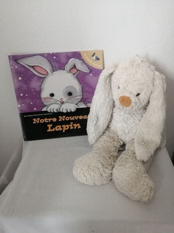 peluche et livre lapin