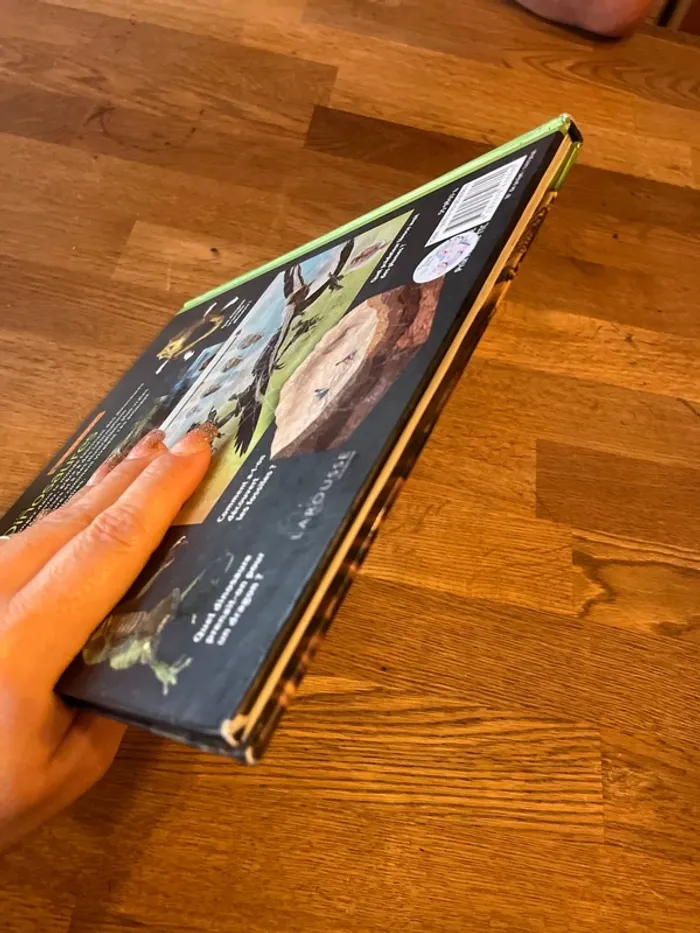 Livre Les dinosaures À la loupe - photo numéro 6