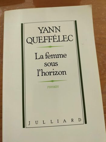 Livre : la femme sous l'horizon - Yann Queffélec