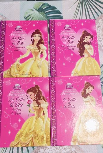 Livres la belle et la bête