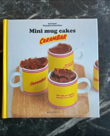 Livre mini mug cake carambar en très bon état