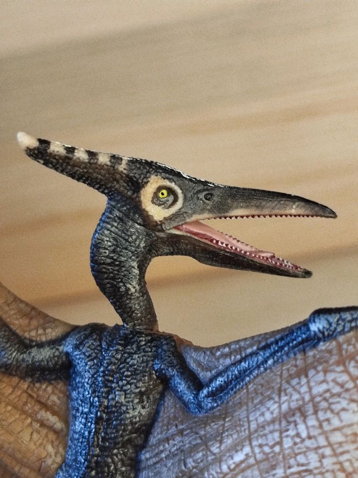 Papo Dinosaure Pteranodon Figurine animal préhistorique - photo numéro 2