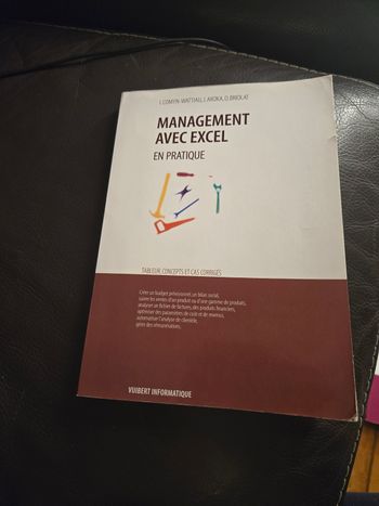 Management avec Excel en pratique
