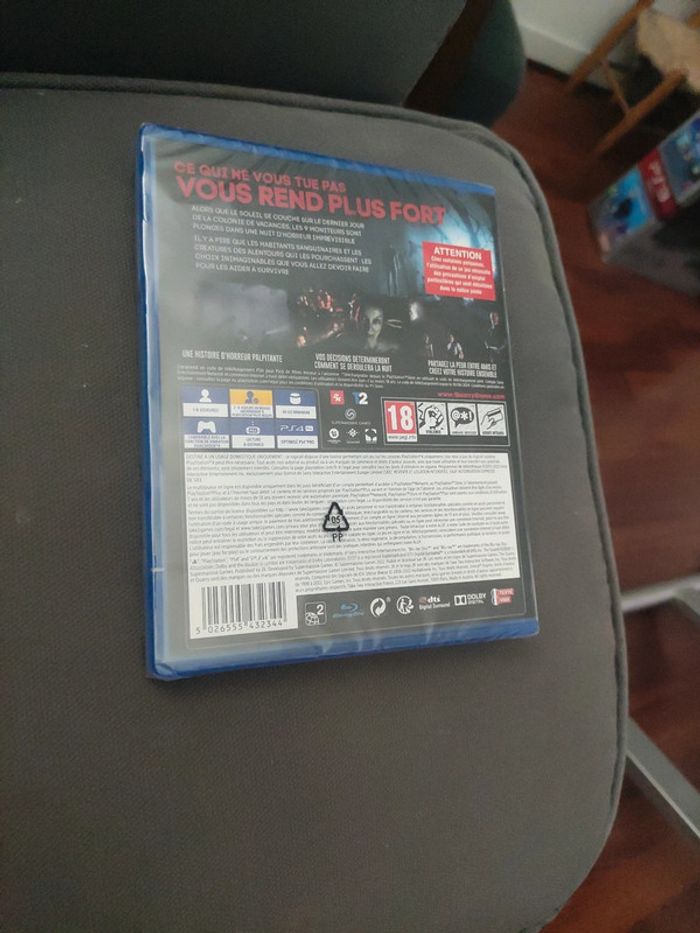 The quary ps4 - photo numéro 2