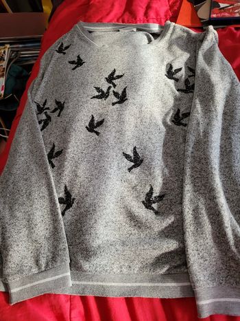 Pull Oiseaux Cache Cache