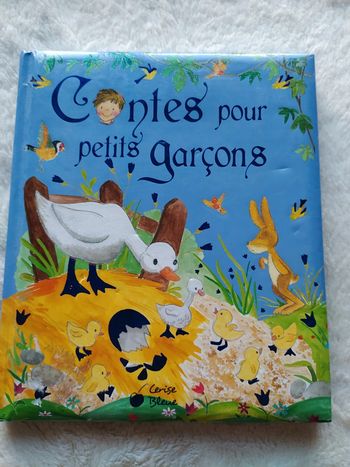 Livre " Contes pour petits garçons"