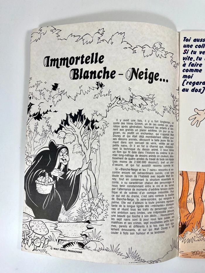Album Panini Disney vintage : Blanche Neige et les 7 Nains 1983 - photo numéro 3