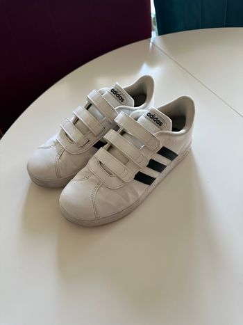 Adidas scratch blanches
