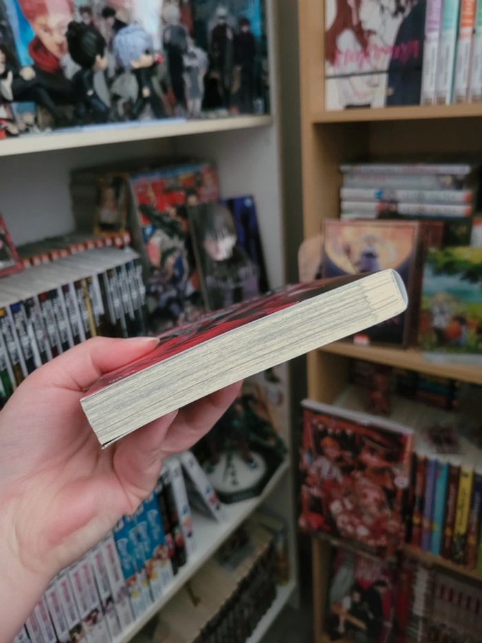 Manga yaoi beast of blood - photo numéro 6