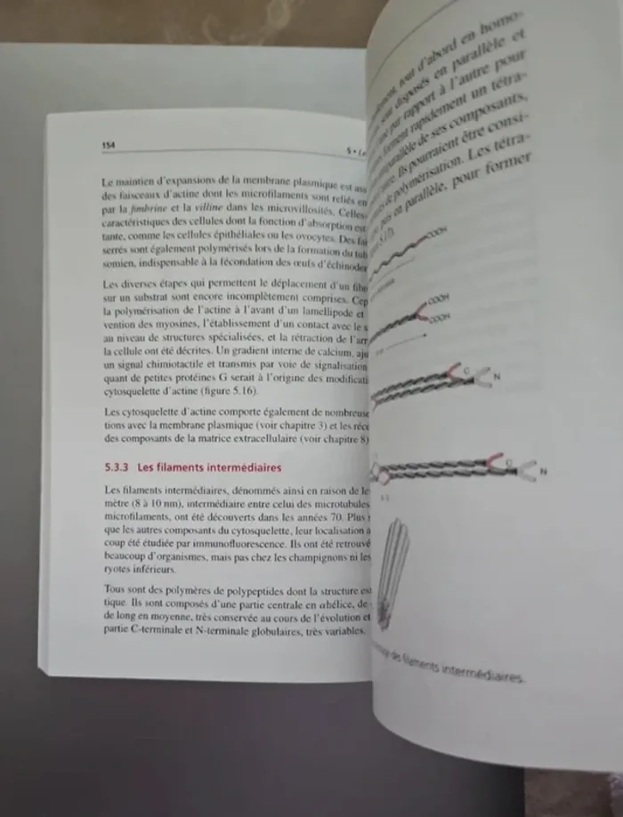 Livre Biologie Cellulaire - photo numéro 3