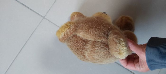 Ourson - photo numéro 5