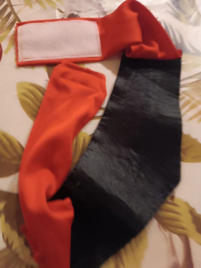 Déguisement costume robe rouge red Flamingo espagnol noir black chapeau cap dress Scarlet victorien - photo numéro 17