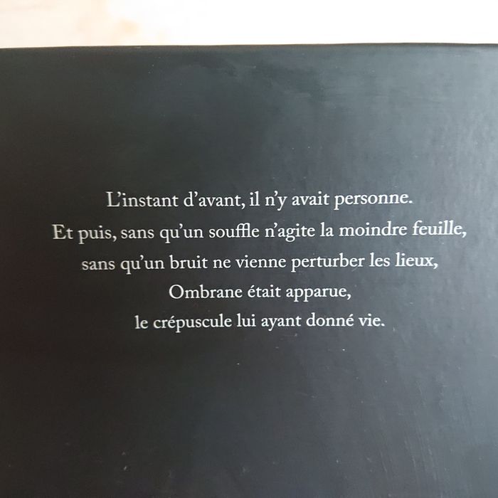 Bande Dessinée Ombrane - photo numéro 4