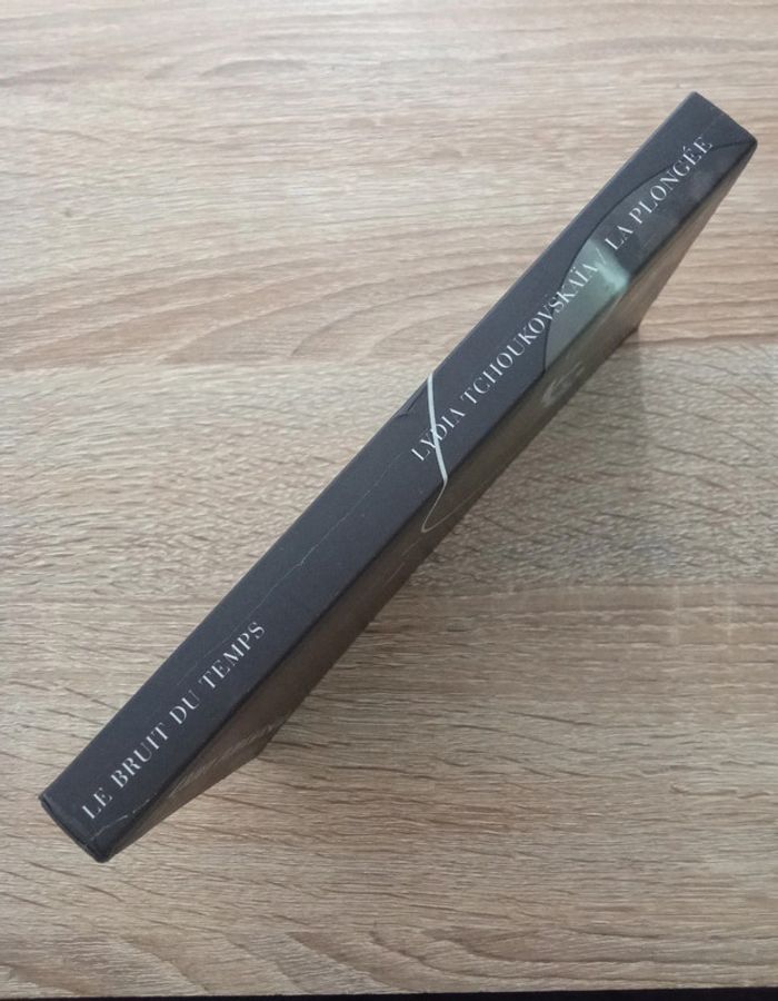 Lydia Tchoukovskaïa 🪅 La plongée - photo numéro 3