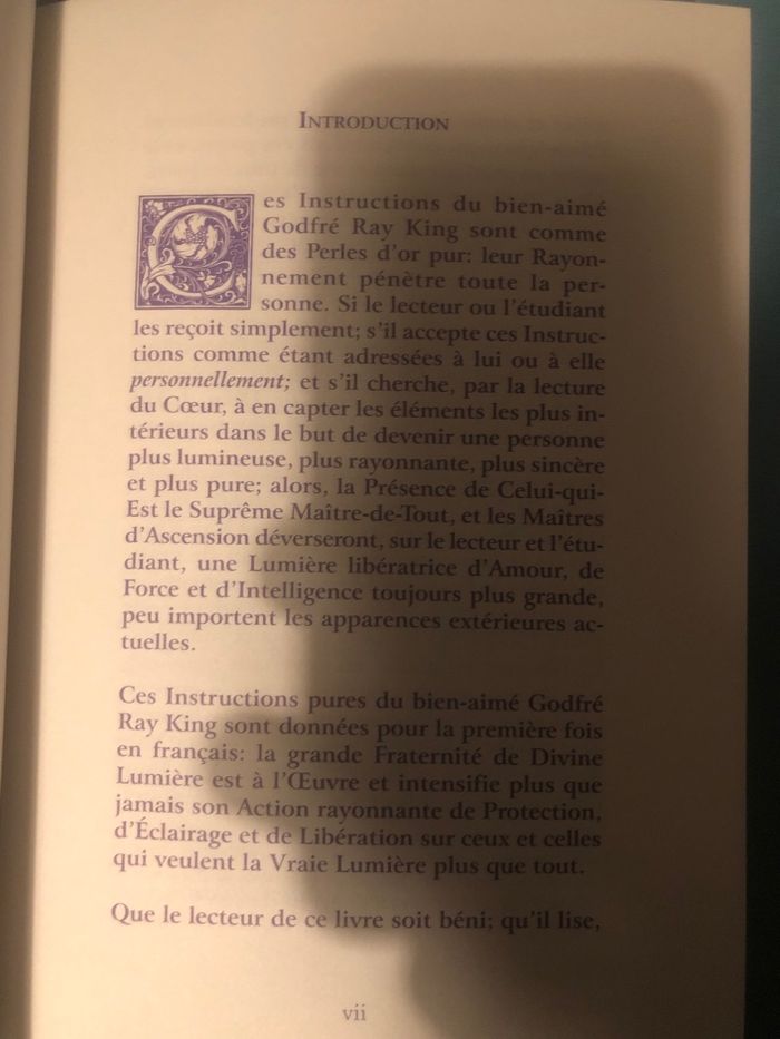 L’ascension dans la lumière - Godfré Ray King - photo numéro 2