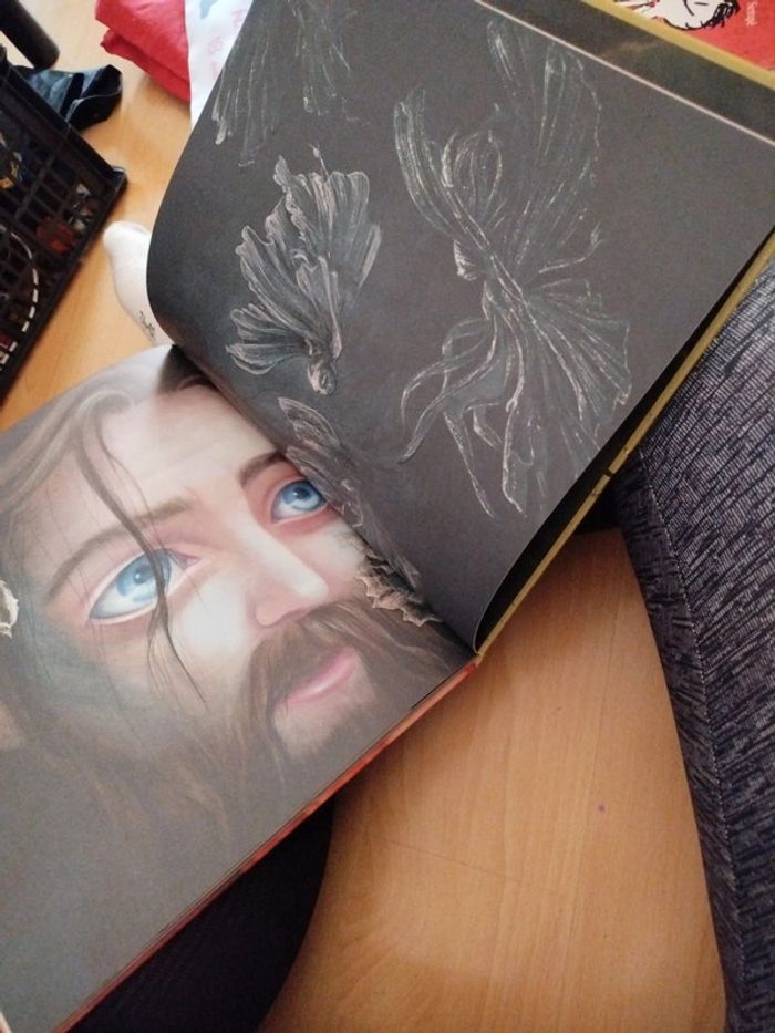 Très beau livre sur les fee - photo numéro 10