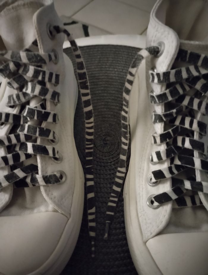 Baskets montantes "Converse Chuck Taylor All Star" en très bon état 👌🏻 - photo numéro 3